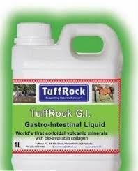 TUFFROCK G.I Gastro-Intestinal Liquid