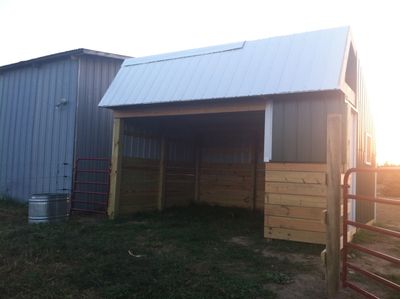 Our "Family Pasture" is the perfect spot for horses from the same family group