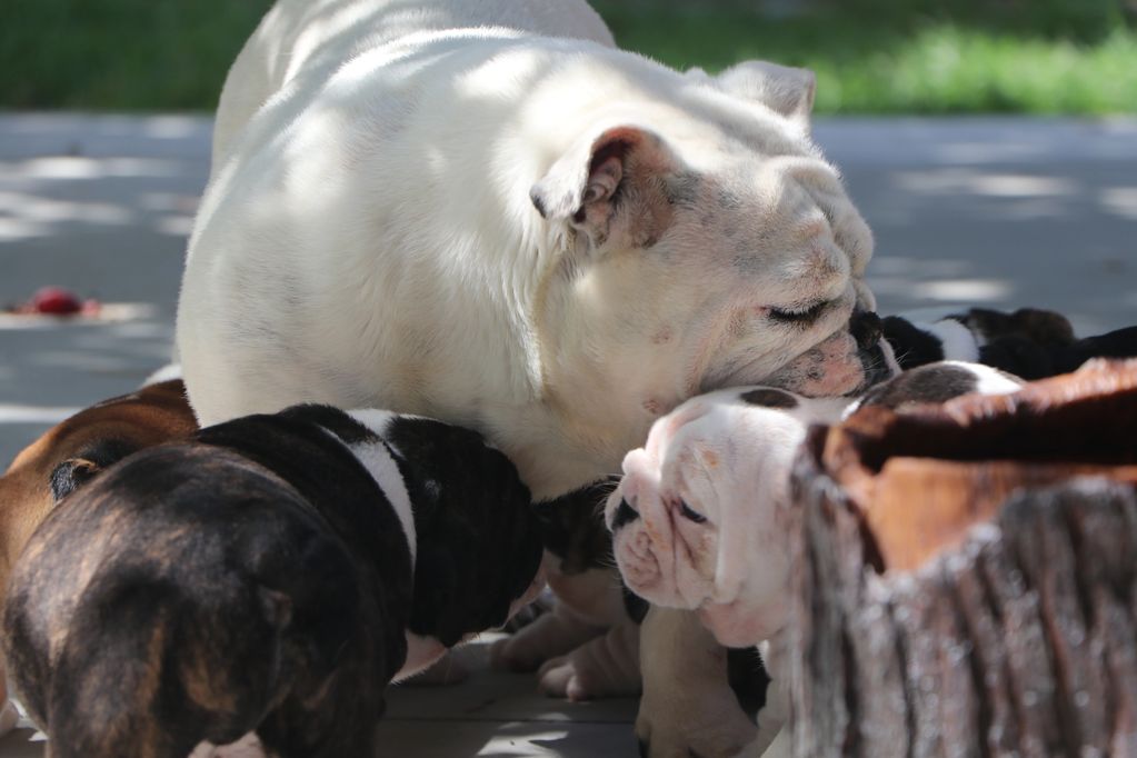 king hanging out with mom