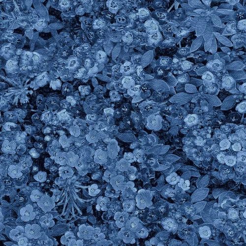 Blank Quilting Once In A Blue Mood Lacy Floral