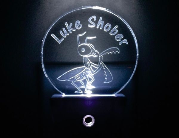 Kid's Praying Mantis Insert plus LED Night Light