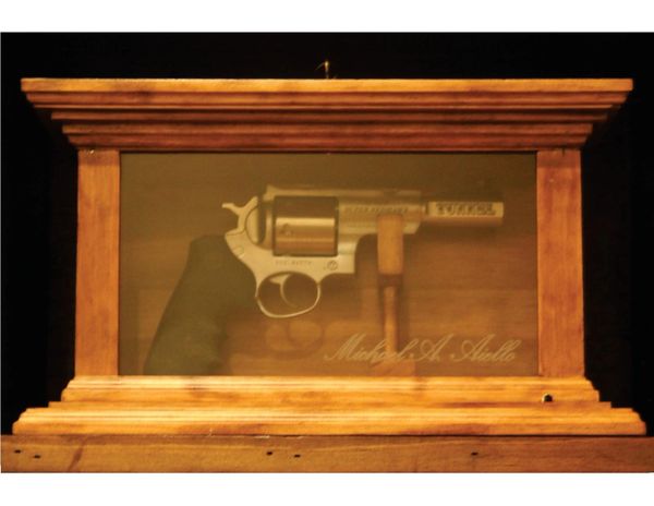 Handgun Display Case