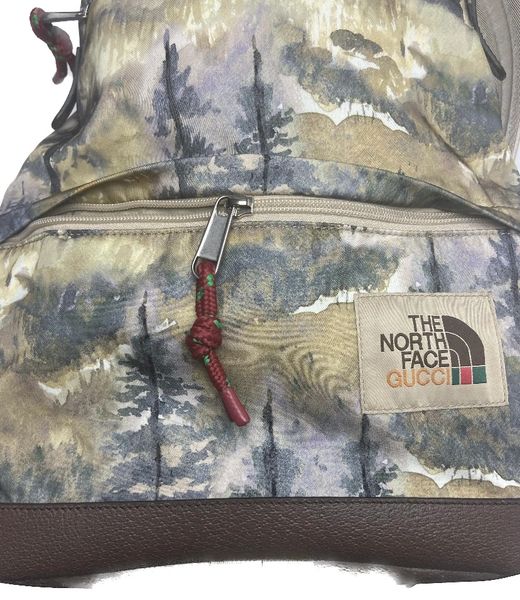 North face gucci backpack hot sale