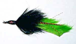 Barry's Pike Fly black/green