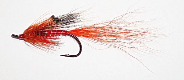 Ally's Shrimp Salmon Fly treble hook