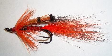 Ally's Shrimp Salmon Fly double hook