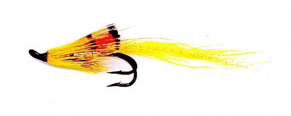 Ally's Shrimp Yellow Salmon Fly double hook