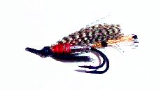 Peter Ross Salmon Fly double hook