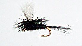 Black Gnat parachute dry fly