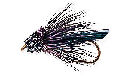 Black Caddis