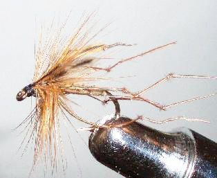 Daddy Long Legs | FishingFlies UK