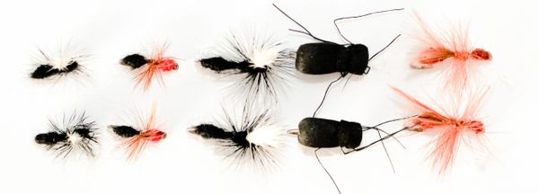 10 pcs. Ant and Beetle Mixed Multi Pack