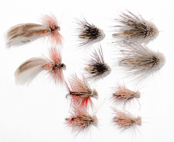 12 pcs. Caddis Sedge Mixed multi Pack