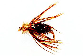 Caddis Emerger 12 pcs. set size