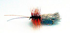 Goddard Sedge Caddis