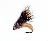 Streaking Caddis 12 pcs. set size