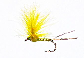 Yellow Mayfly 12 pcs. set size