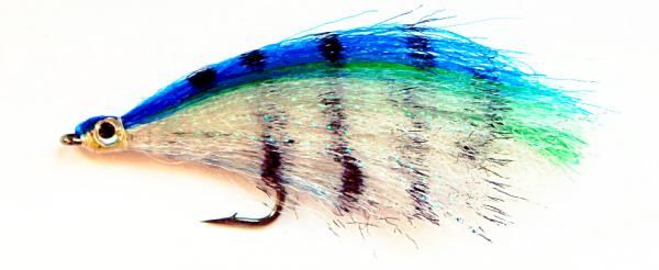 Faltnfine Baitfish