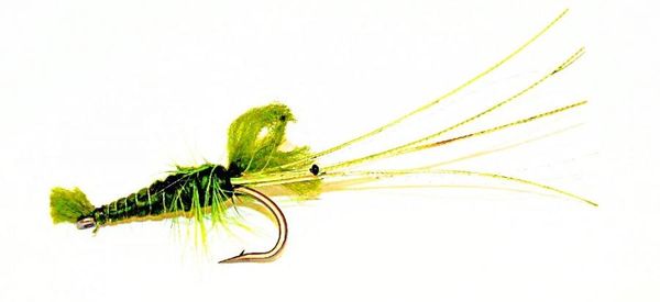 Shrimp olive