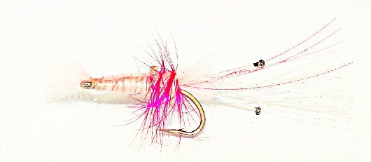 Shrimp pink