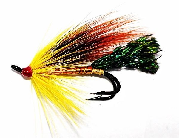 Gold Cossebom Golden Salmon Fly double hook