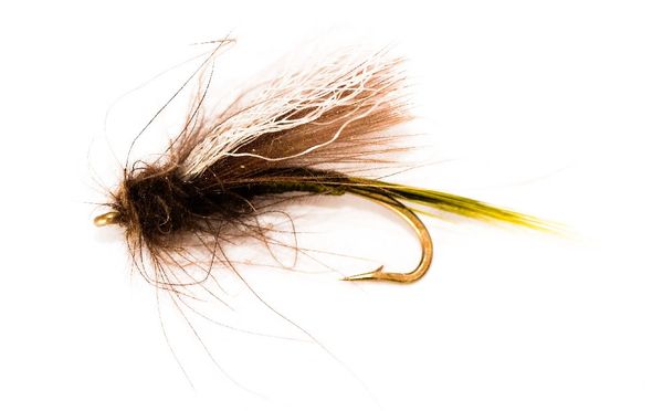 CDC Sedge