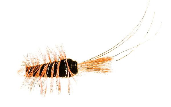 Frances Black Conehead - Copper Tube Fly