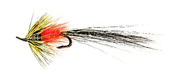 Ally's Shrimp Black Salmon Fly double hook