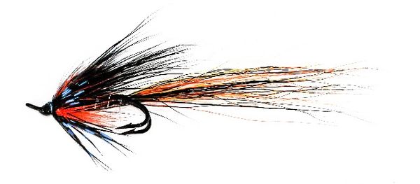 Ally's Tunnel Shrimp Salmon Fly double hook