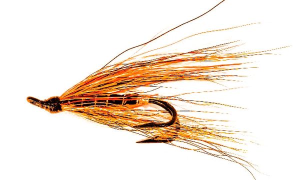 Willie Gun Salmon Fly double hook