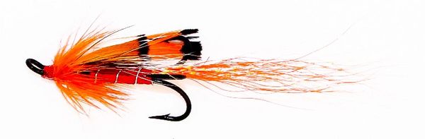 Ally's Shrimp Salmon Fly treble hook