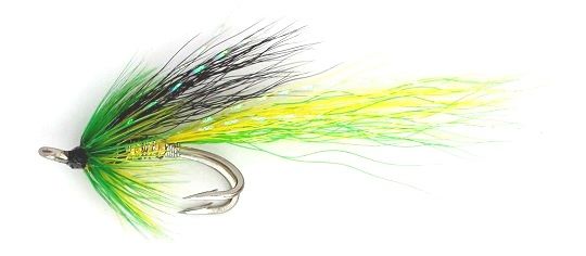 Ally's Cascade Highlander Salmon Fly double hook