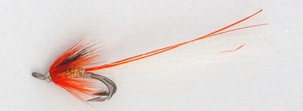 Ally's Junction Shrimp Salmon Fly double hook