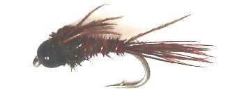 BH Pheasant Tail with black tungsten head