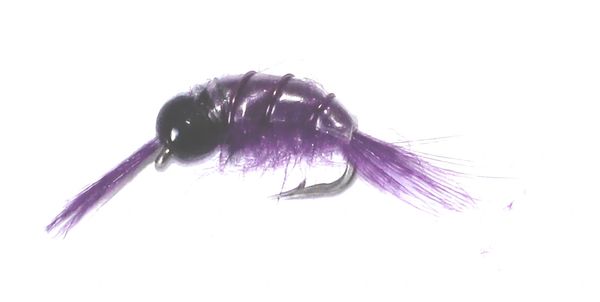 Scud purple (tungsten head)