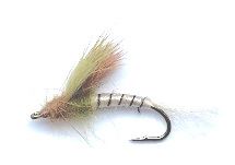 Mayfly danica emerger