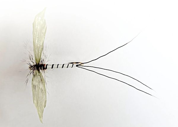 Mayfly Spinner