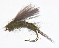 BWO Emerger