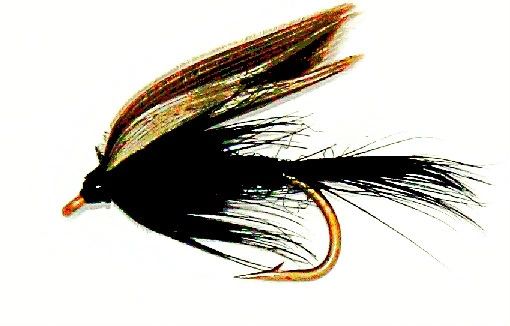 Black Gnat wet fly