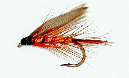 Wickhams Fancy wet fly