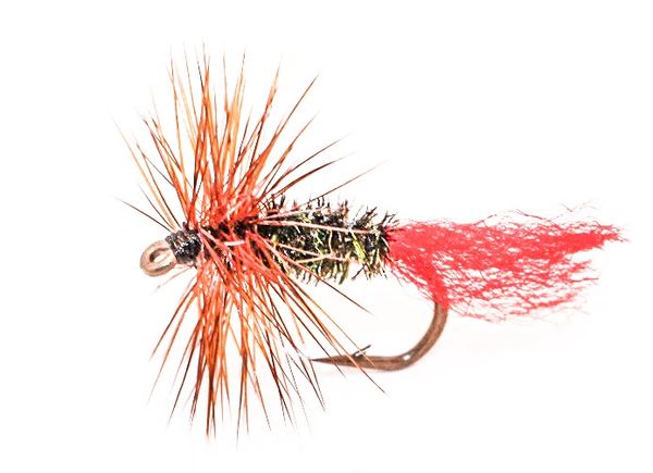 Red Tag wet fly
