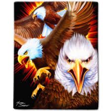 Eagle Scream American Bald Eagle Queen Plush Blanket