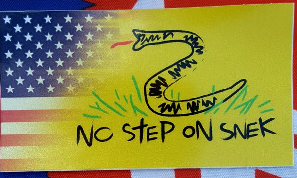 Blended USA Gadsden No Step On Snek Sticker  <h1>DLGrandeurs Confederate  and Rebel Goods</h1>