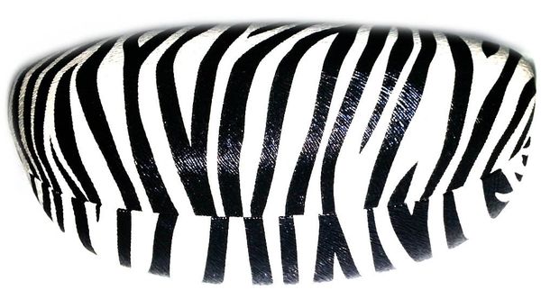 Zebra Hard Case