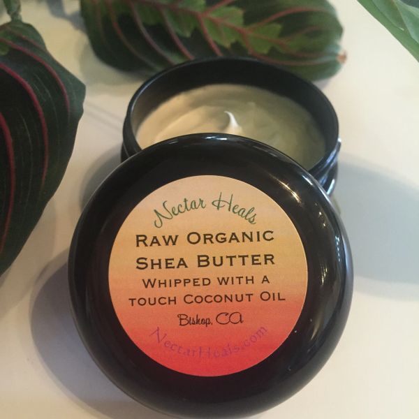 Whipped Raw Ivory Shea Nut Cream - with Lavender & Tea Tree oil or non scented, 2 oz.