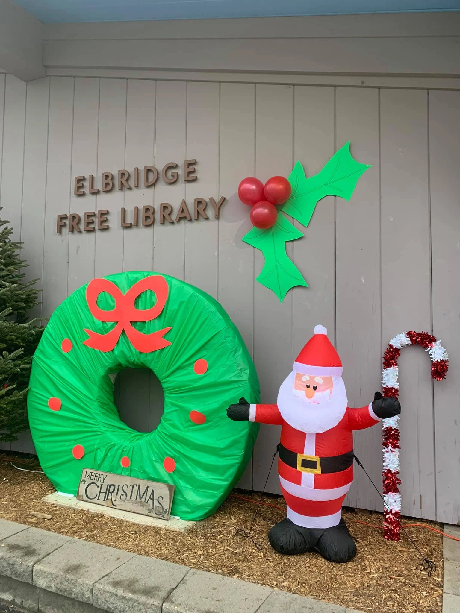 Elbridge Free Library
