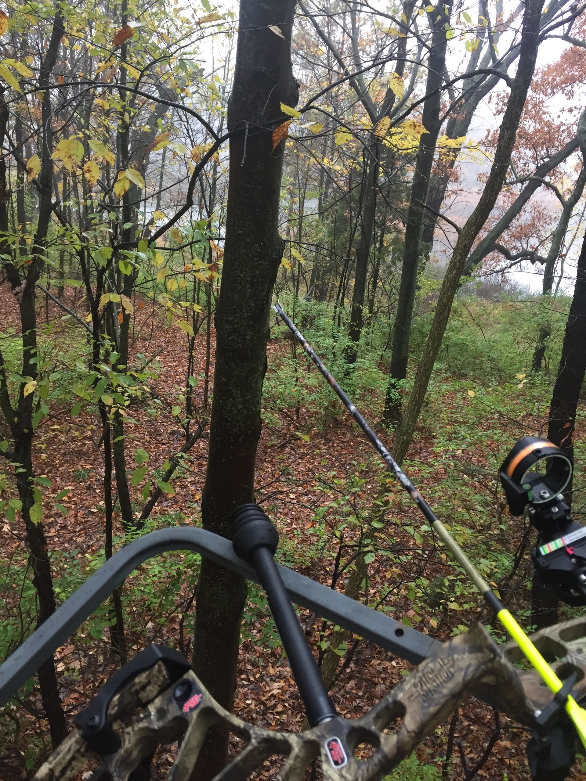 Brooks Archery Archery, Bowhunting, Crossbow