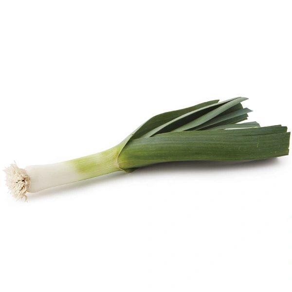 Leek