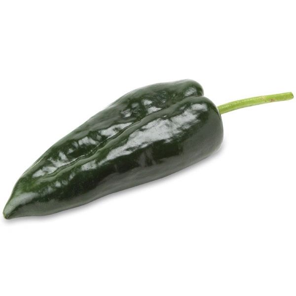 Poblano Pepper