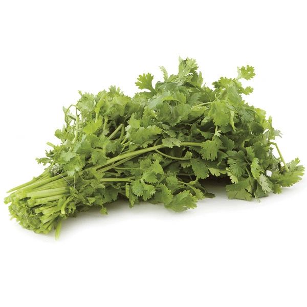 Cilantro